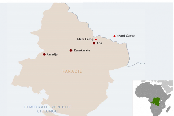 « Ils sont rentrés chez eux »: the political dimensions of displacement and ‘spontaneous return’ in Faradje, northeast DRC