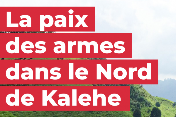 La paix des armes dans le Nord de Kalehe